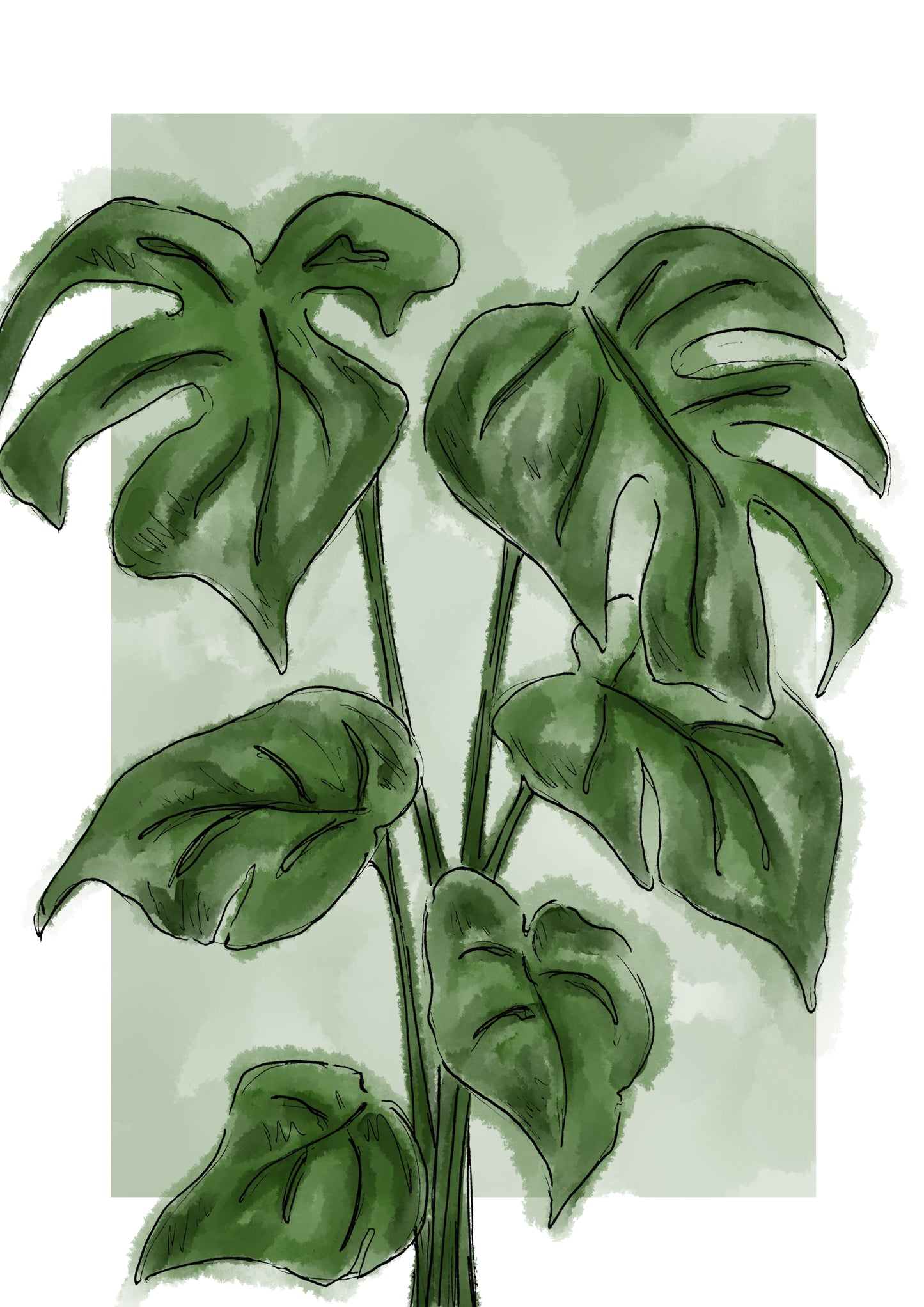 Styled Cheese Plant