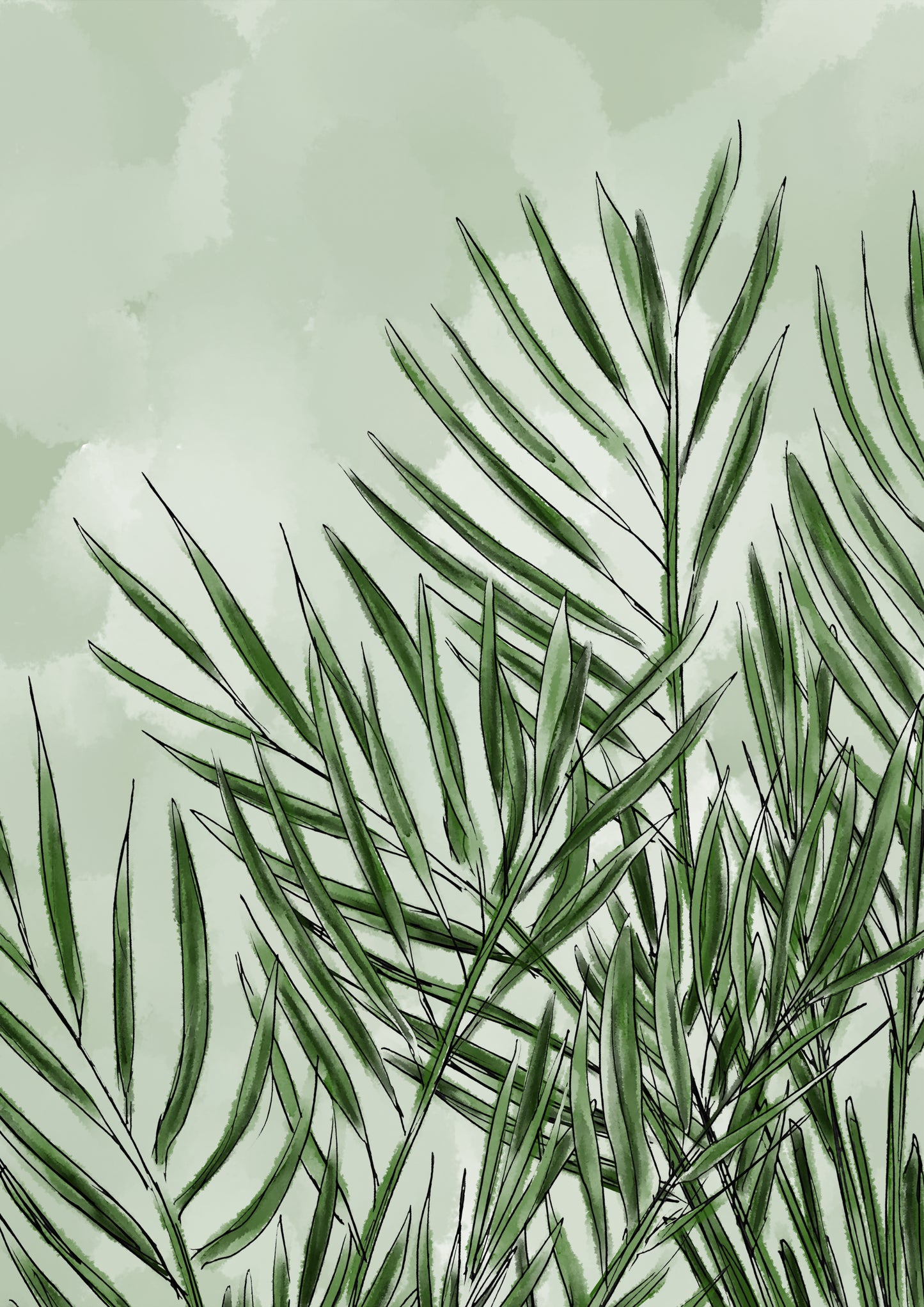 Large Palm