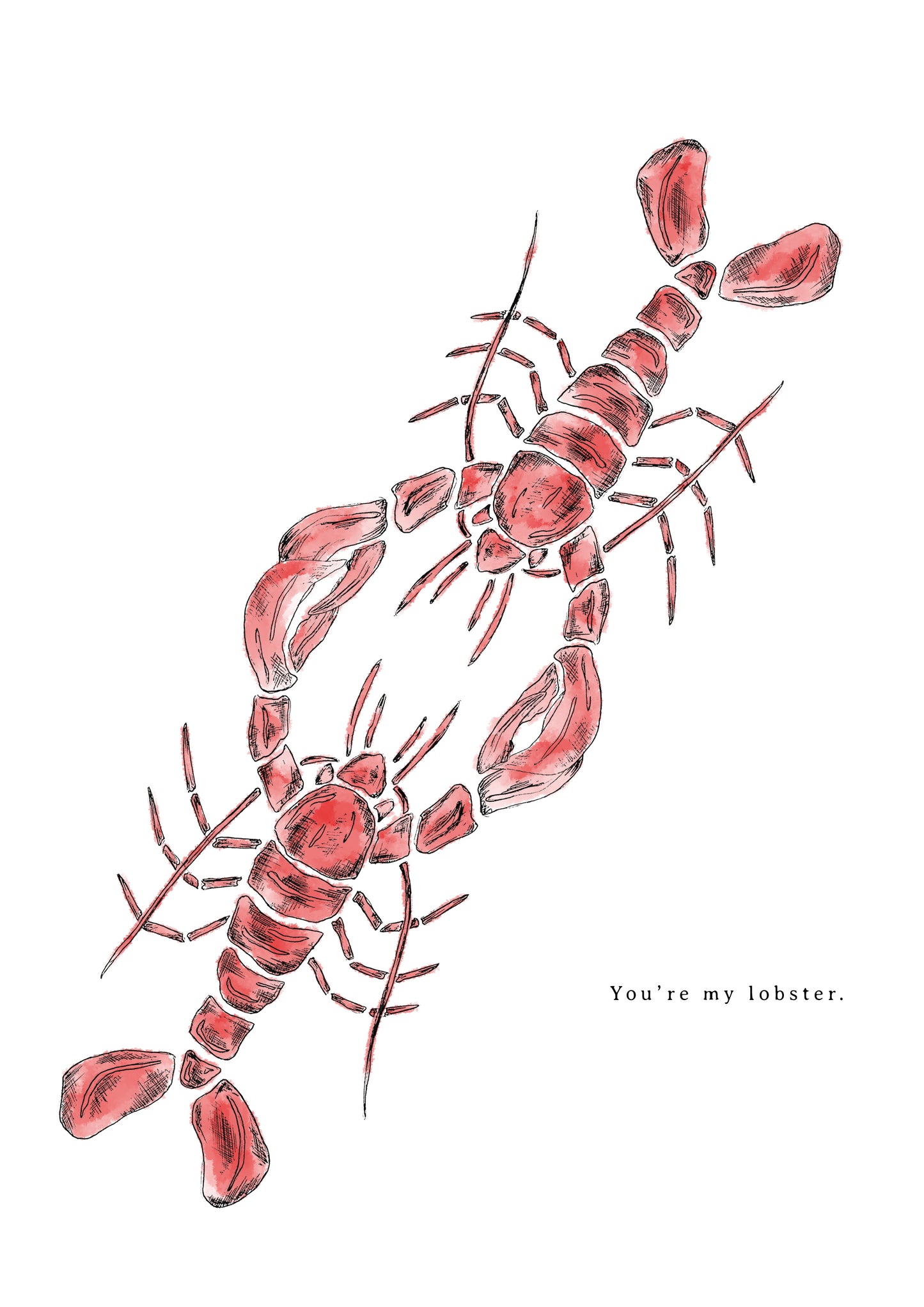 You're My Lobster