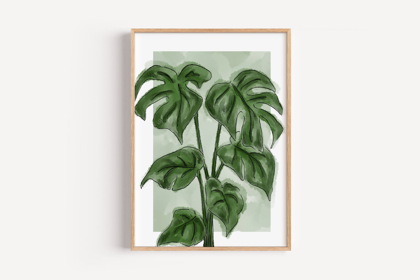 Styled Cheese Plant