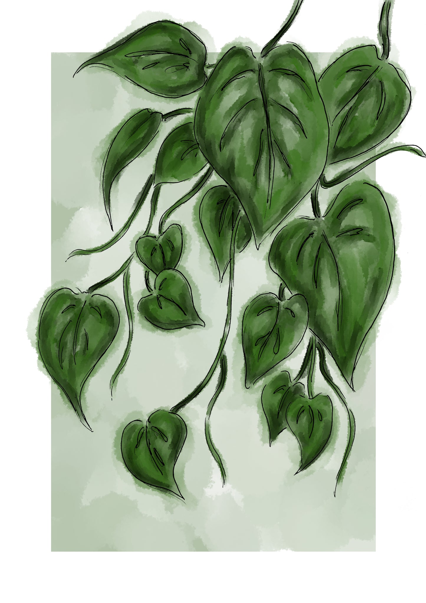 Styled Pathos Plant