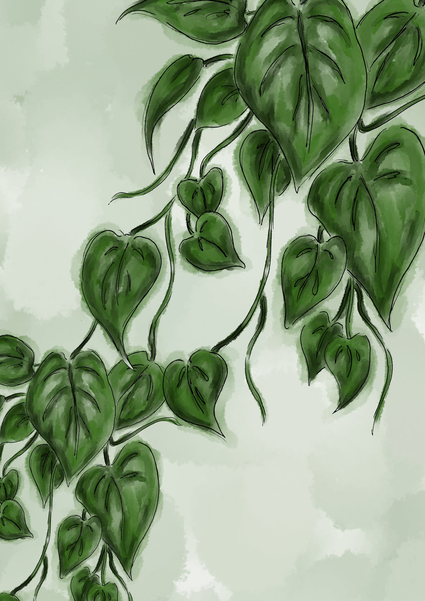 Pathos Plant