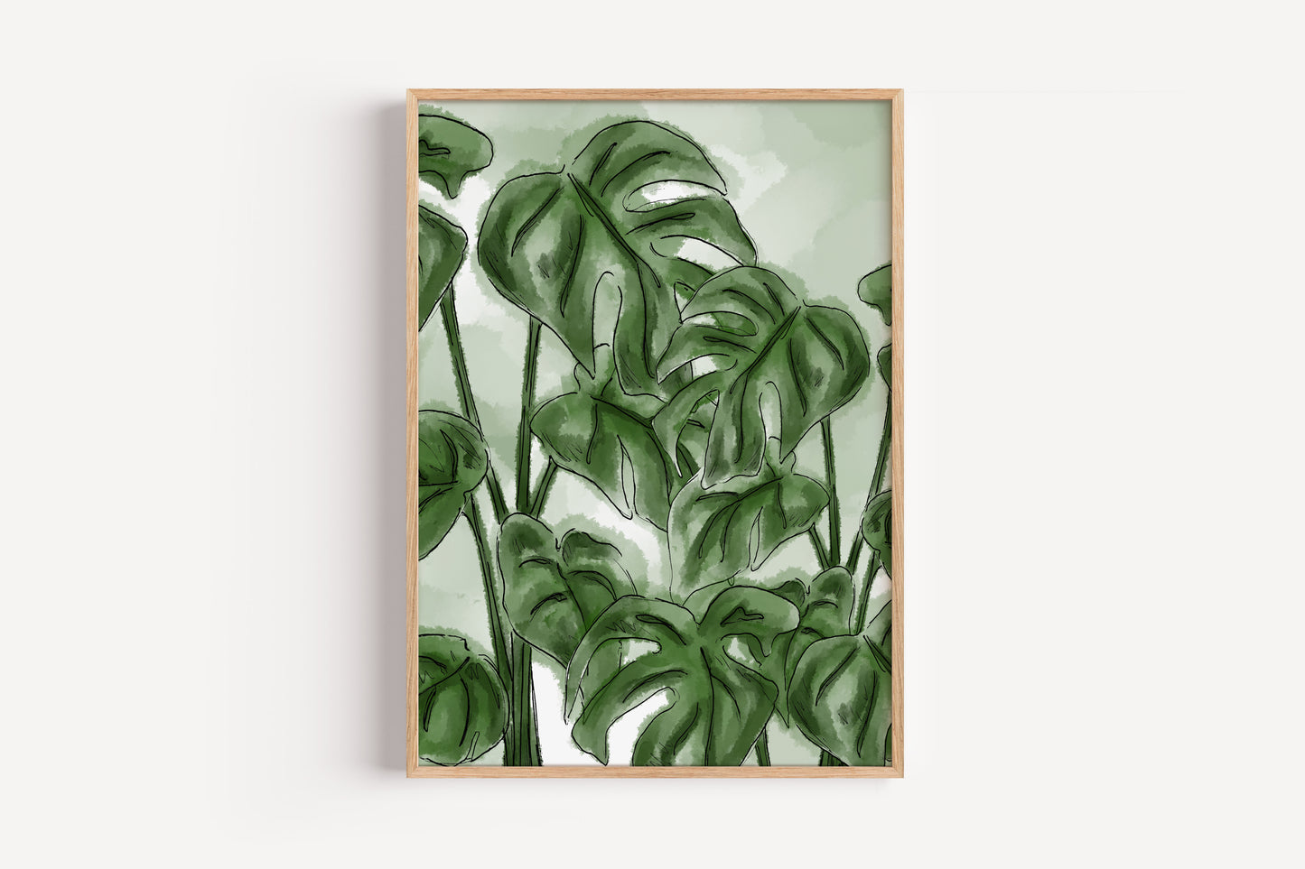 Cheese Plant