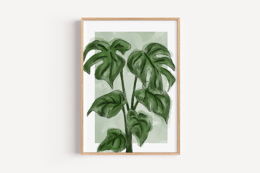 Styled Cheese Plant