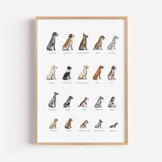 Dog Breeds