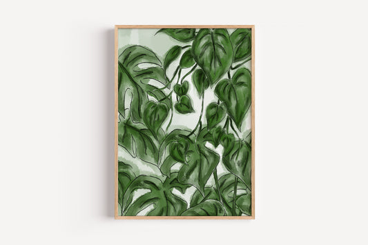 Pathos and Cheese Plant