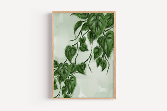 Pathos Plant