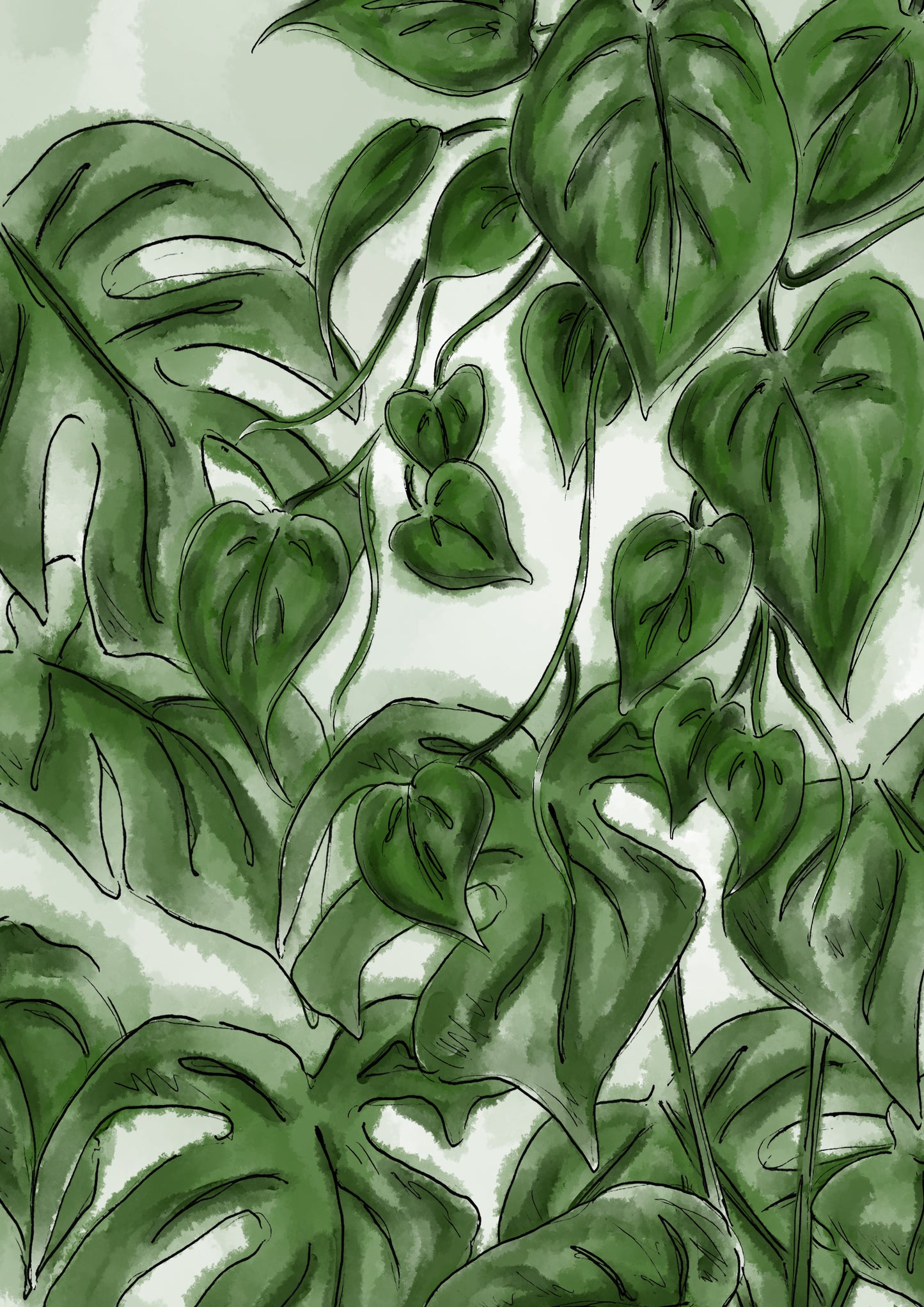 Pathos and Cheese Plant